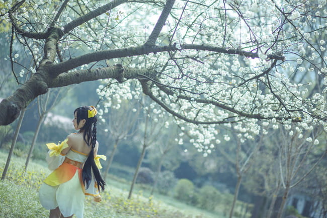 古剑奇谭一,风晴雪cos,葵花花花儿