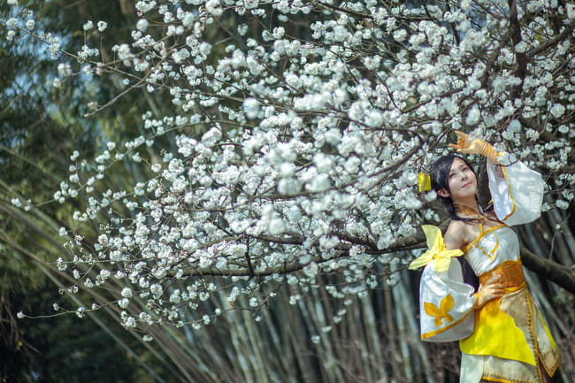古剑奇谭一,风晴雪cos,葵花花花儿