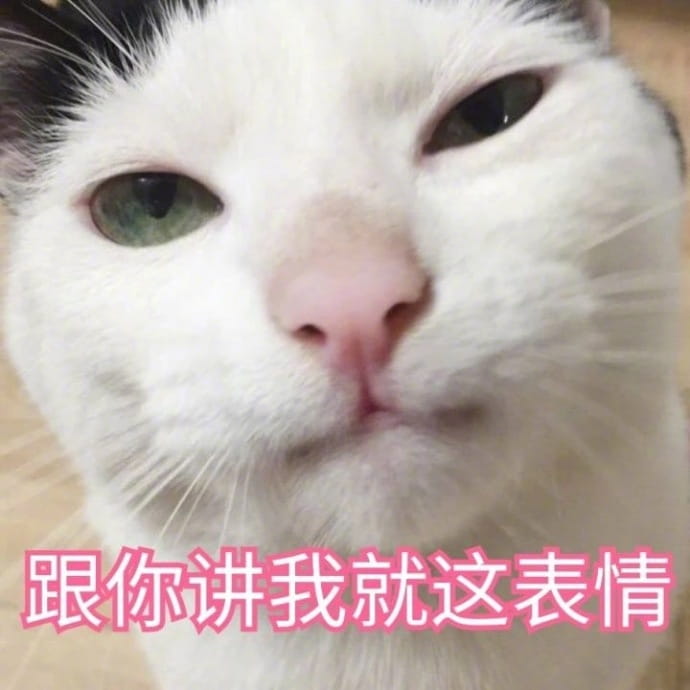 猫咪表情包,猫表情,动物表情包,微信表情包