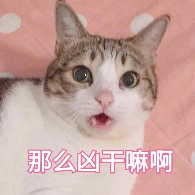 猫咪表情包,猫表情,动物表情包,微信表情包