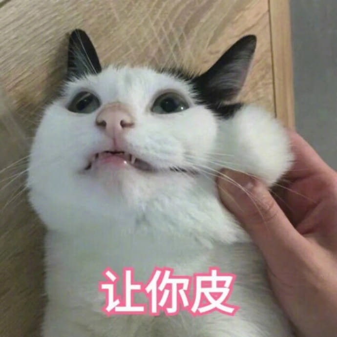 猫咪表情包,猫表情,动物表情包,微信表情包