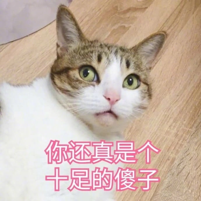 猫咪表情包,猫表情,动物表情包,微信表情包