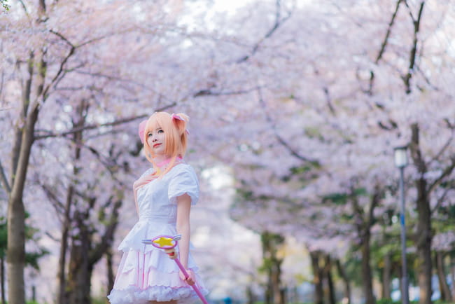 魔卡少女樱cos,小樱cos,cosplay图片,