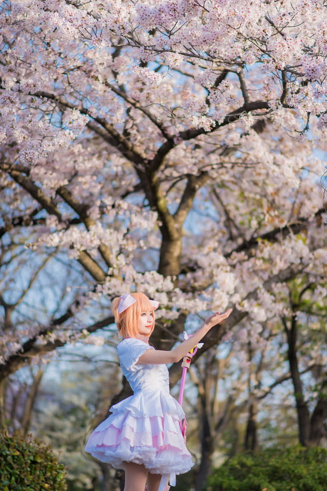 魔卡少女樱cos,小樱cos,cosplay图片,