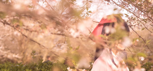 樱花大战,真宫寺樱cos,杉杉子Sugiko
