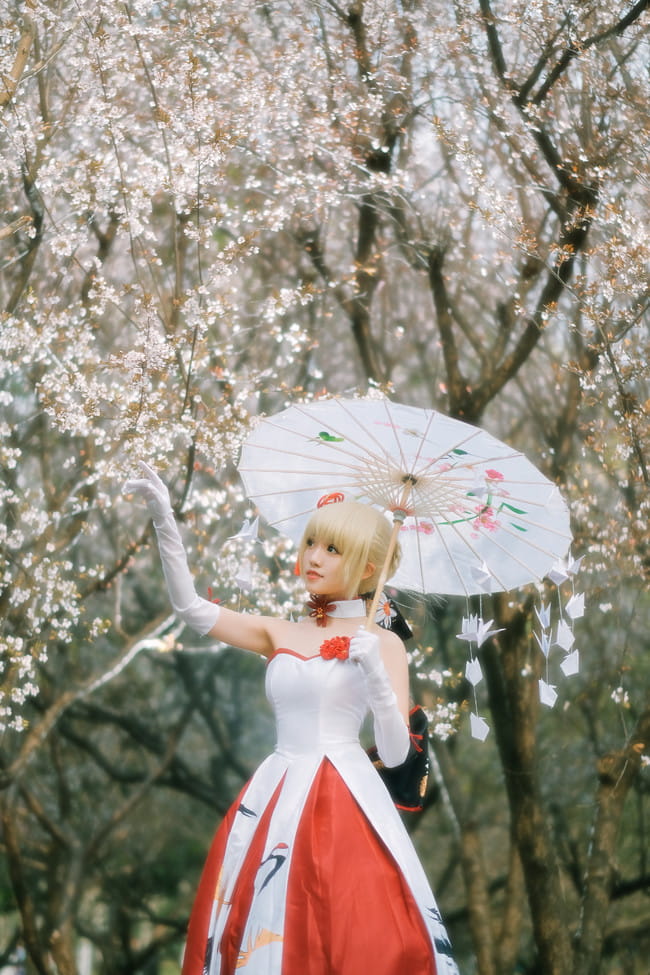 Fate/Grand Order,saber,南南北东西