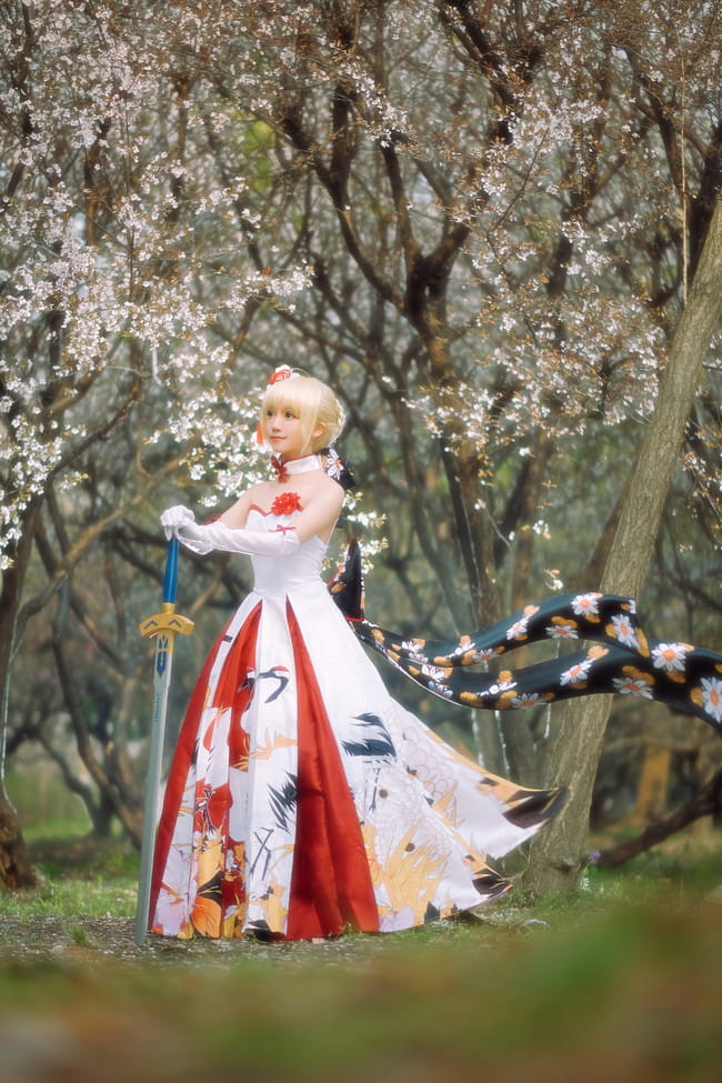 Fate/Grand Order,saber,南南北东西
