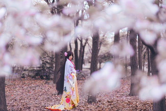 Fatego,两仪式,cosplay