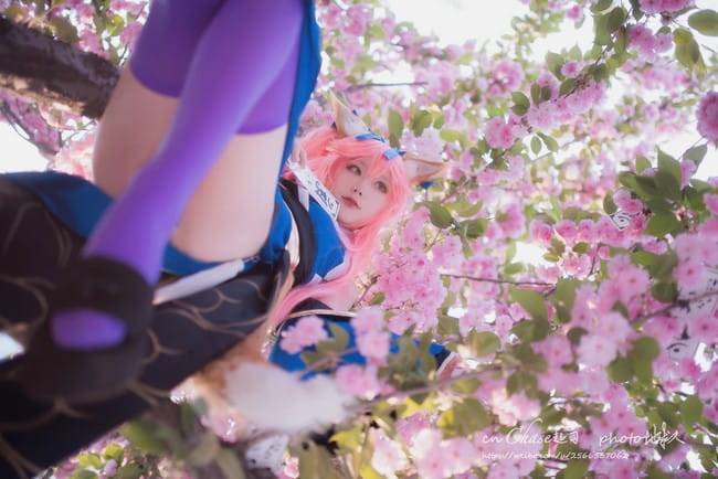 chase起司,Fate/Grand O,玉藻前