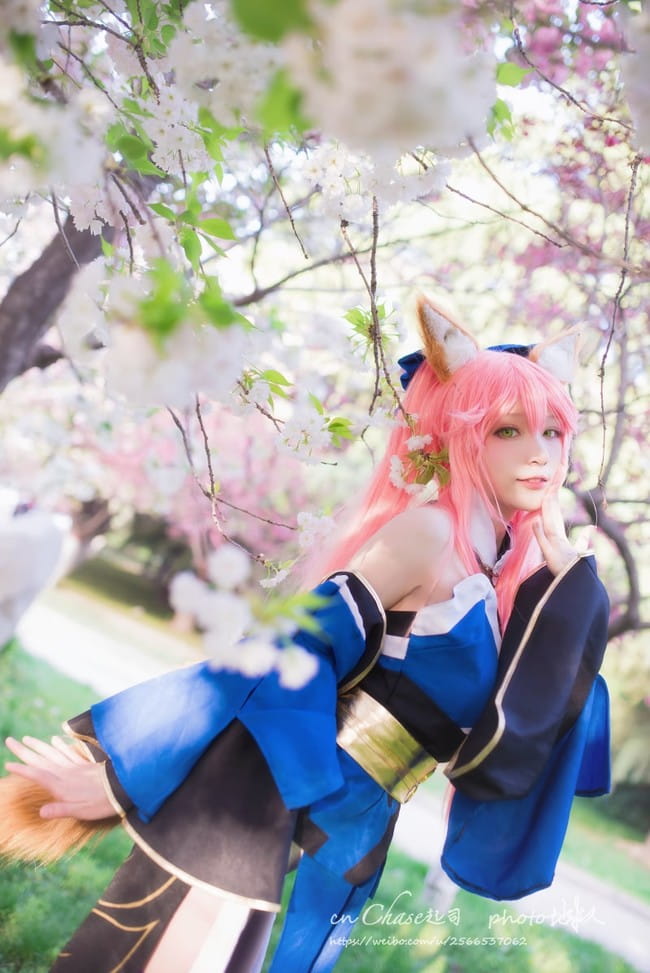 chase起司,Fate/Grand O,玉藻前