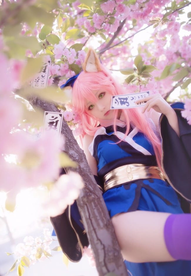 chase起司,Fate/Grand O,玉藻前