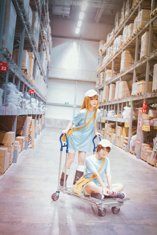 工作细胞,红血球,白血球,血小板,cosplay