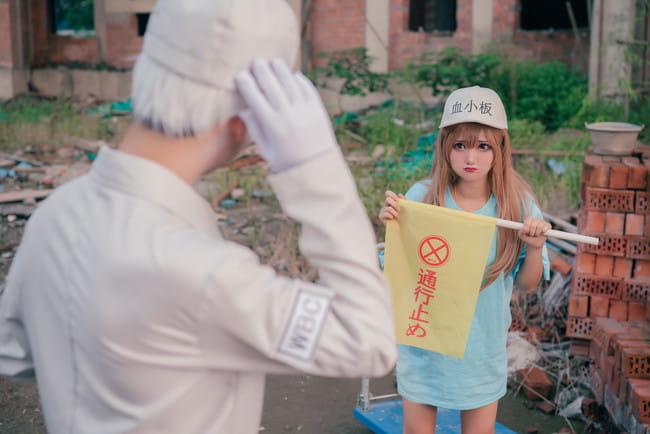 工作细胞,血小板,白细胞,cosplay