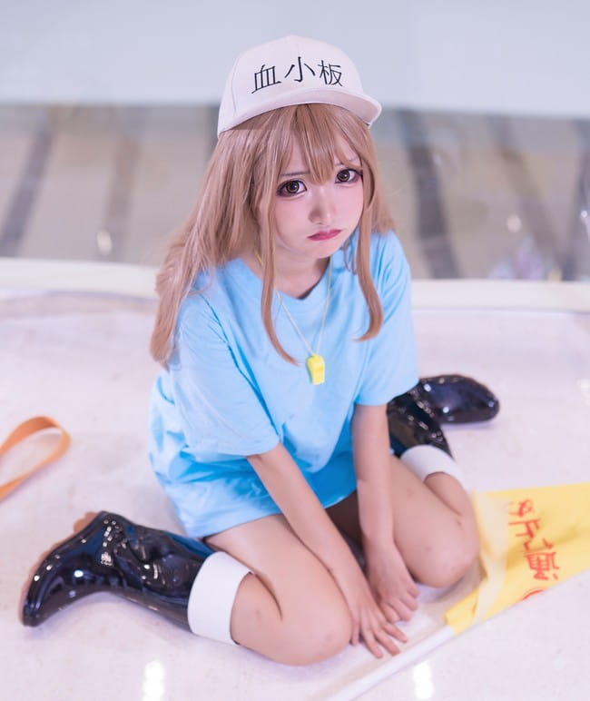 工作细胞,血小板cos,w猫猫子w