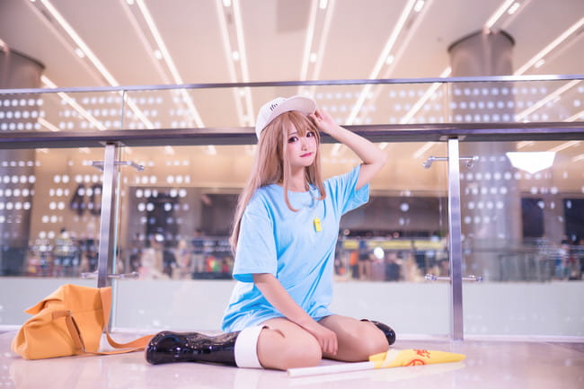 工作细胞,血小板cos,w猫猫子w
