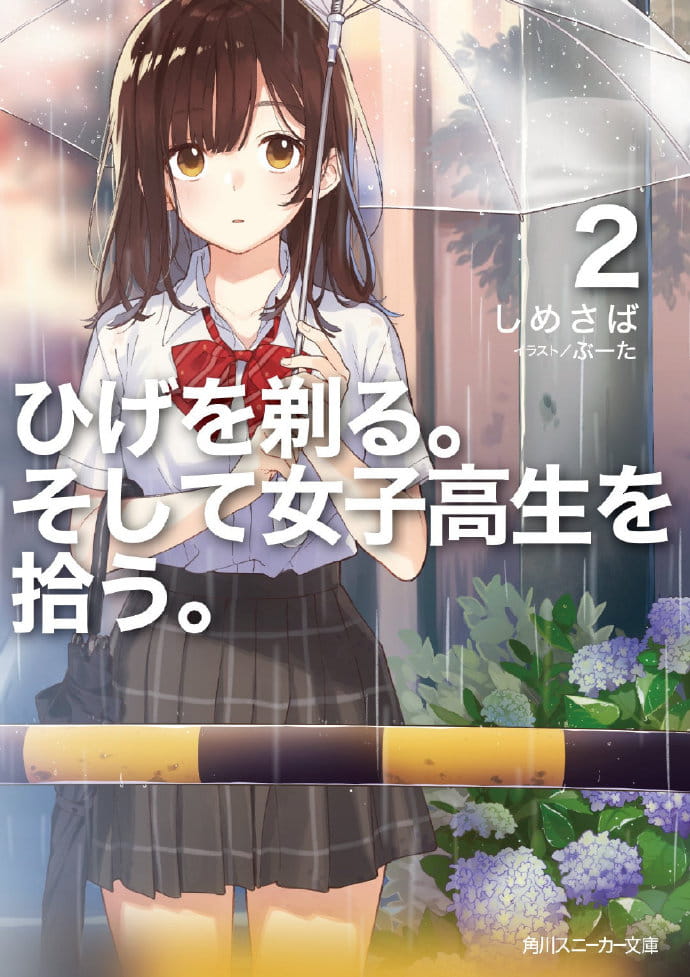 这本轻小说真厉害排行,錆喰いビスコ,剃须捡到女高中生