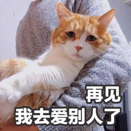 表情包,可爱表情,沙雕表情,套路表情包,撩妹表情包,猫表情