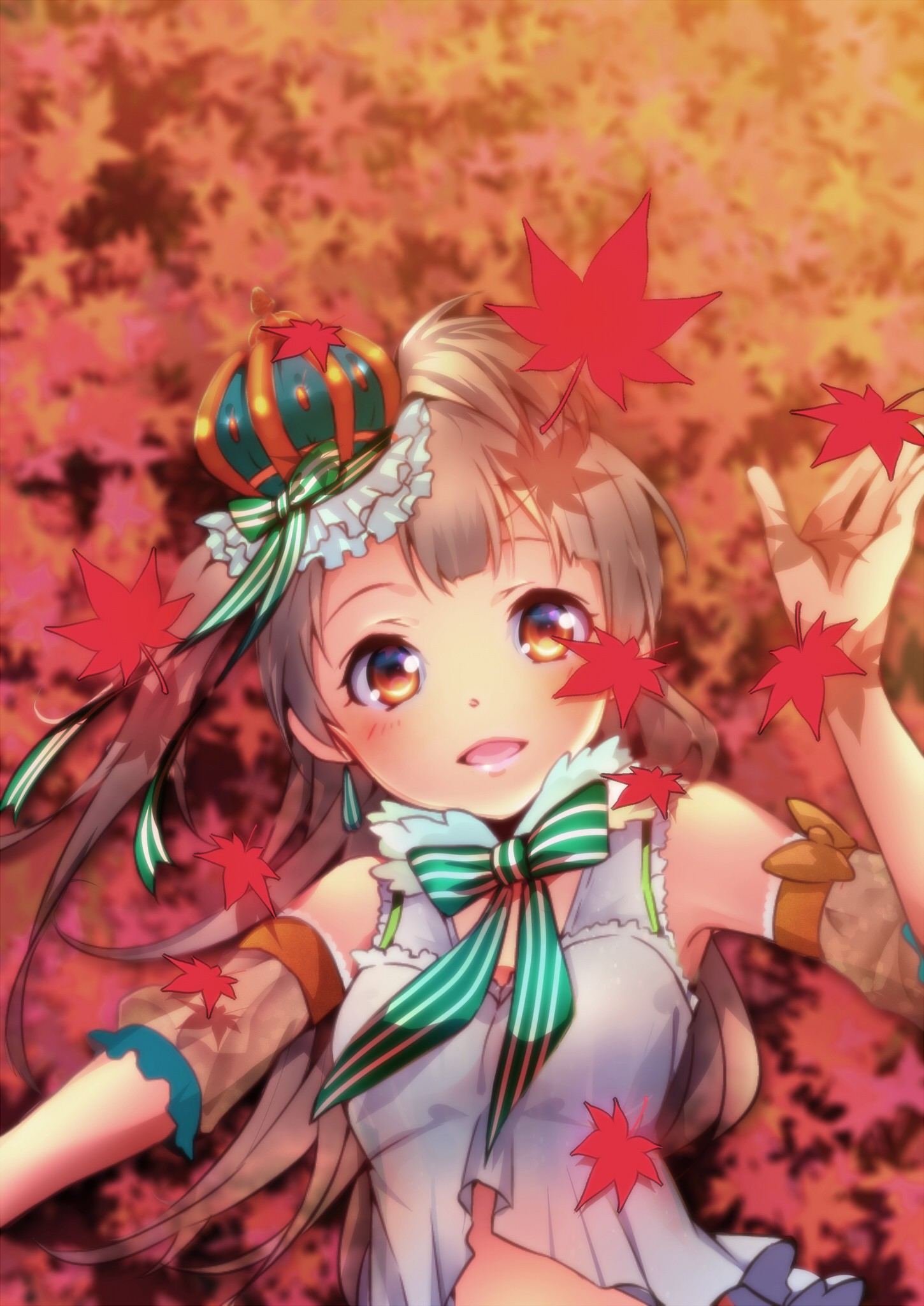 lovelive!本子,南小鸟本子,南小鸟福利图