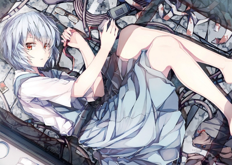 eva,绫波丽本子,新世纪福音战士