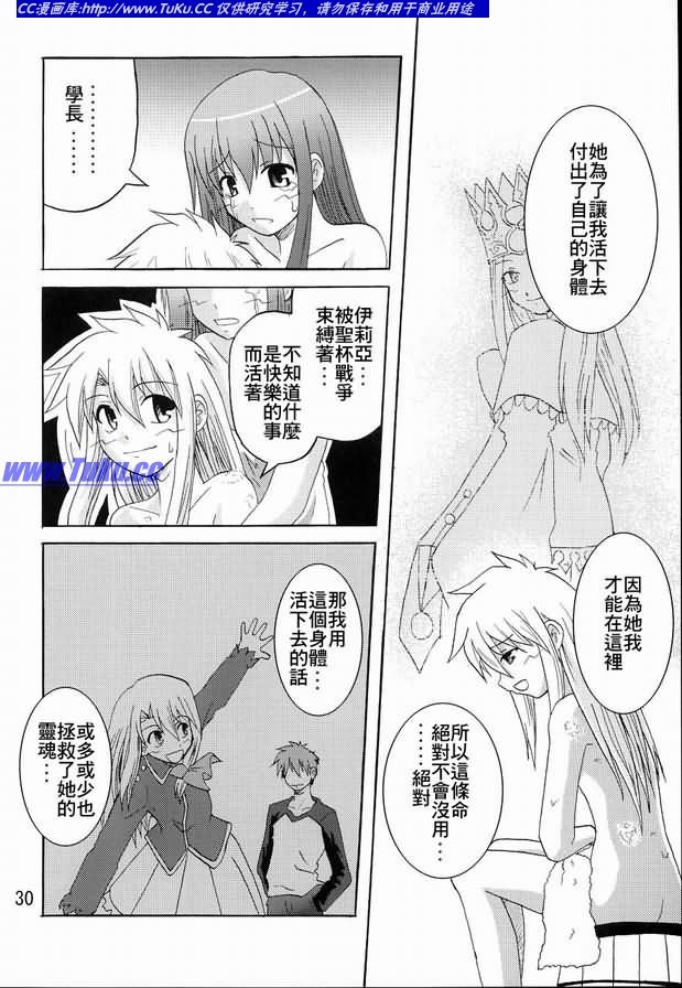 fate同人漫画士郎子