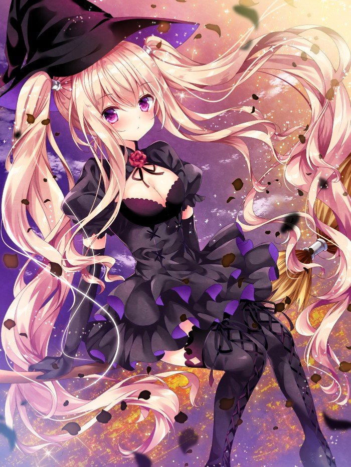 魔法娘本子,魔法少女本子,动漫本子