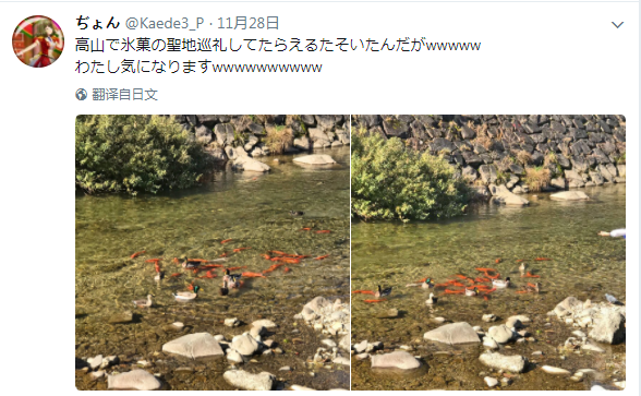 冰菓圣地巡礼,千反田,cosplayAV,女优,あず希,亚须希