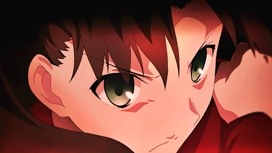 fate官方周边