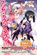 Fate kaleid liner 魔法少女伊莉雅 12话