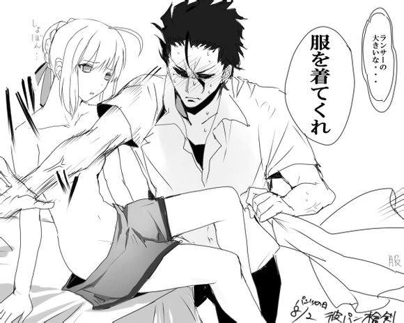 fate zero