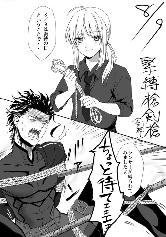 fate zero