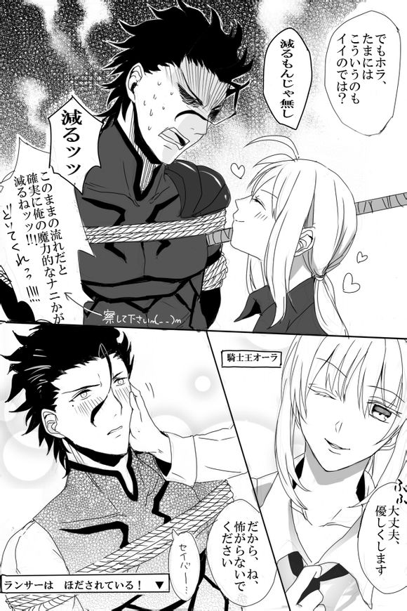 fate zero