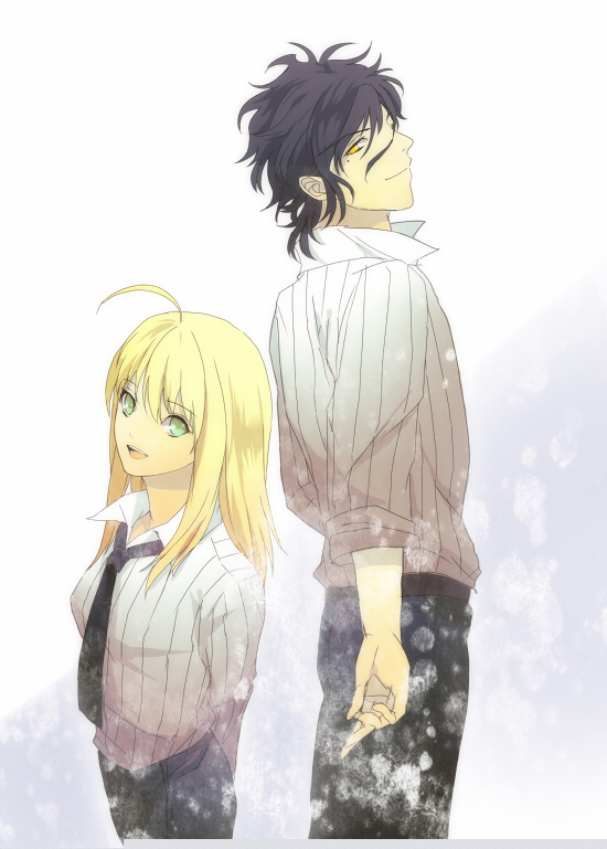 fate zero