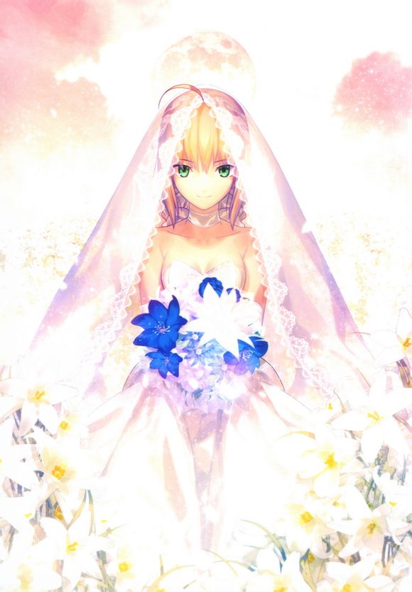 fate saber