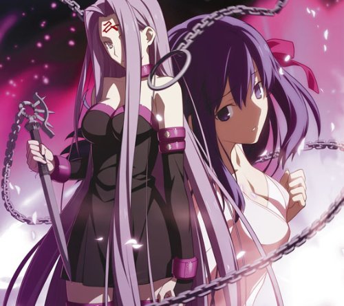 Fate Stay Night 新星