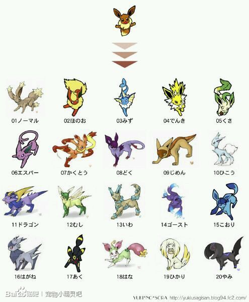 伊布家族