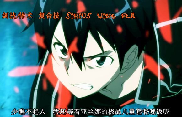 刀剑神域同人
