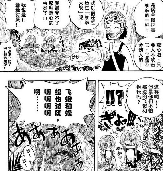 50条关于海贼王的小秘密 你都知道哪一些