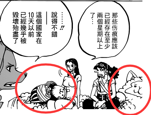 分析和之国的文化对毛皮国产生冲突