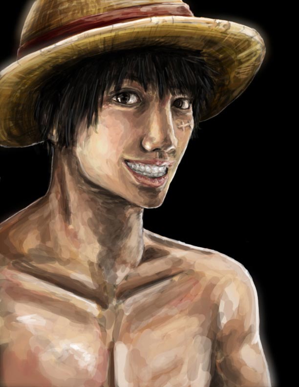 海贼王，重口味，同人画