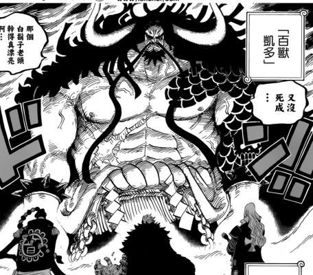 海贼王，801话，悬赏