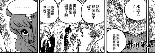 海贼王，801话，悬赏